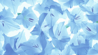 いつセラピーを受けますか？