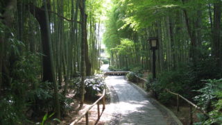 GIMレベル１トレーニング(日程変更）