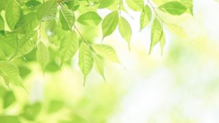 春のリトリート