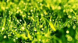 GIM講座のお知らせ